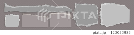 Torn paper pieces set on transparent background 123023983