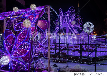 北海道　札幌　イルミネーション　ホワイトイルミネーション　冬　夜 123024245