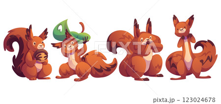 Cute squirrel character set. Cute squirrel character set. 123024678