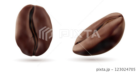 Realistic 3d coffee beans in front and angle view 123024705