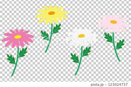 Illustration material of various colors of margarets 123024737