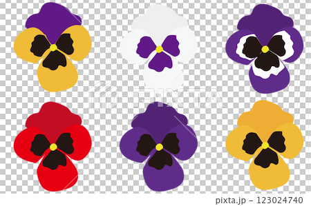 Pansy illustrations in various colors Pansy illustrations in various colors 123024740