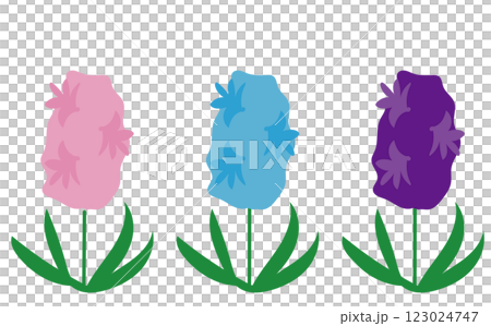 Illustration material of hyacinths of various colors 123024747