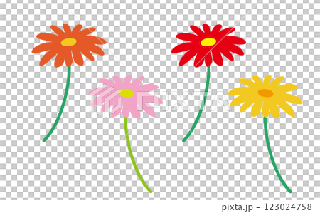 Illustration material of gerberas of various colors 123024758