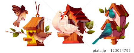 Wooden nesting boxes inhabited by birds 123024795