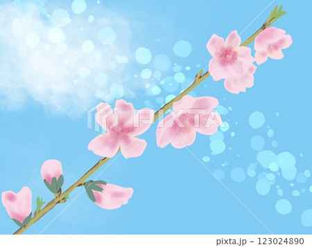 青空に舞う桃の花 青空に舞う桃の花 123024890