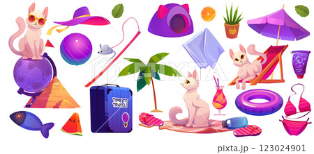 Cute cat and beach accessories set Cute cat and beach accessories set 123024901