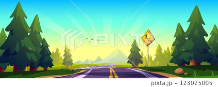 Summer forest road landscape 123025005