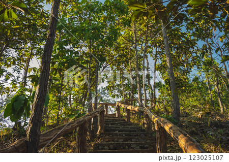 travel and people activity concept with wood ladder and mountain in tropical forest 123025107