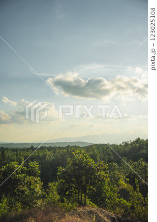 travel and people activity concept with cloud and sky  with mountain and forest background 123025108