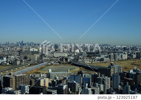 青空に映える都心の高層ビル群と川崎市街　2月川崎497川崎市役所 123025187