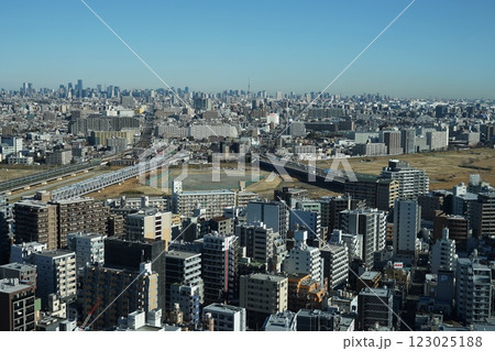 青空に映える都心の高層ビル群と川崎市街　2月川崎498川崎市役所 123025188