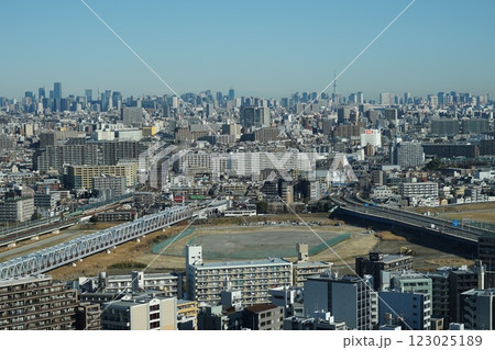 青空に映える都心の高層ビル群と川崎市街 2月川崎499川崎市役所 青空に映える都心の高層ビル群と川崎市街 2月川崎499川崎市役所 123025189