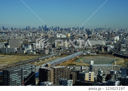青空に映える都心の高層ビル群と川崎市街　2月川崎507川崎市役所 123025197