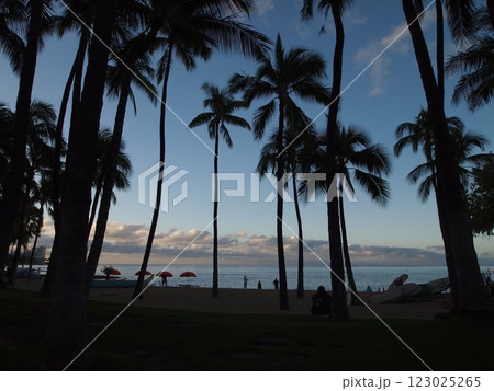 ハワイ　オアフ島ワイキキビーチ 123025265