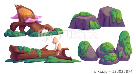 Natural swamp environment elements 123025874