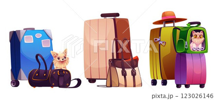 Pet travel baggage set isolated on white 123026146