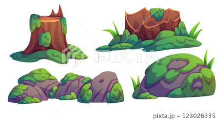 Natural swamp scenery elements 123026335