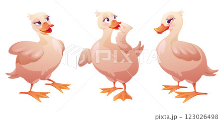 Cute duck character set Cute duck character set 123026498