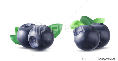 Blueberries set isolated on white background 123026536