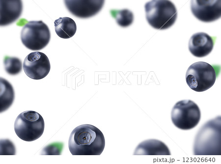 Fresh ripe blueberries with green leaves frame 123026640