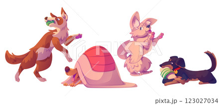 Cute playful dogs set isolated on white background Cute playful dogs set isolated on white background 123027034