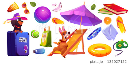 Dog in summer beach vacation trip with luggage 123027122