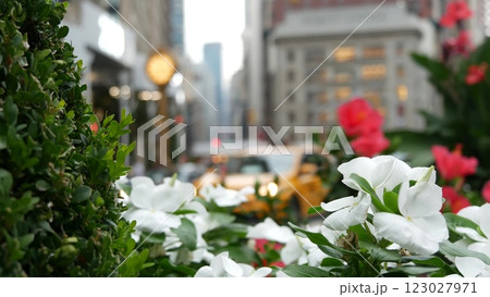 New York City Manhattan Broadway, 23 street, 5 avenue crossroad. Worth, Madison Square, Flatiron USA 123027971