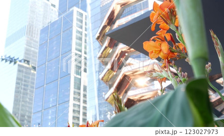 New York City, Hudson Yards, urban architecture in Chelsea, Manhattan Midtown, USA. Flowers bloom. 123027973