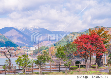 【群馬県】猿ヶ京温泉・赤谷湖　湖畔の紅葉 123028055