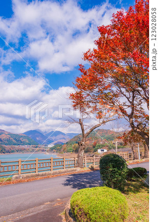 【群馬県】猿ヶ京温泉・赤谷湖　湖畔の紅葉 123028058