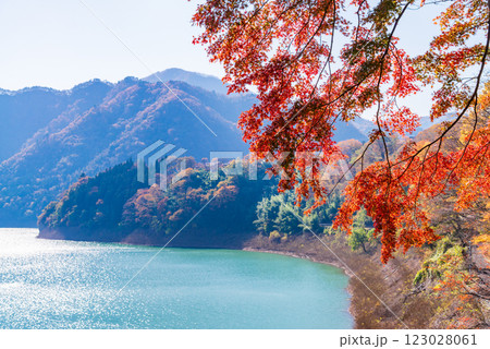【群馬県】猿ヶ京温泉・赤谷湖 湖畔の紅葉 【群馬県】猿ヶ京温泉・赤谷湖 湖畔の紅葉 123028061