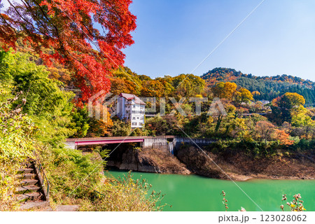 【群馬県】猿ヶ京温泉・赤谷湖　湖畔の紅葉 123028062