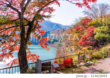 【群馬県】猿ヶ京温泉・赤谷湖 湖畔の紅葉 【群馬県】猿ヶ京温泉・赤谷湖 湖畔の紅葉 123028064