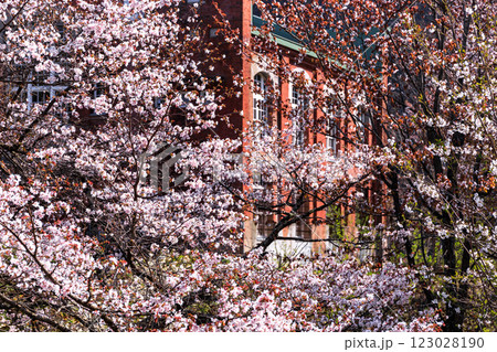 北海道夕張市、紅葉の滝の上発電所【10月】 123028190