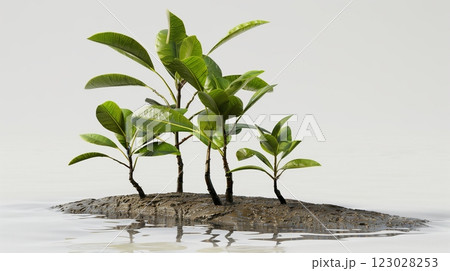Planting mangrove for nature care conservation swamp beach 123028253