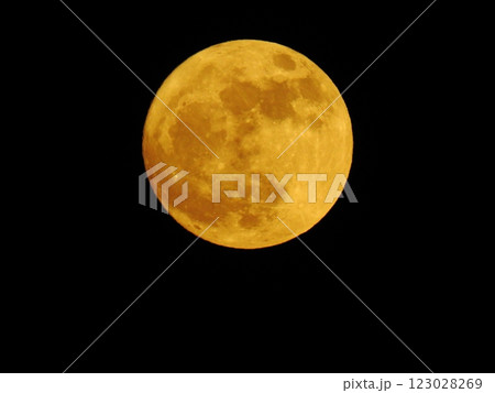 2017年12月03日（日）・月齢：15.0（黄金の満月） 123028269