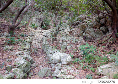 沖縄県　伊是名島　伊是名城跡内の道 123028270