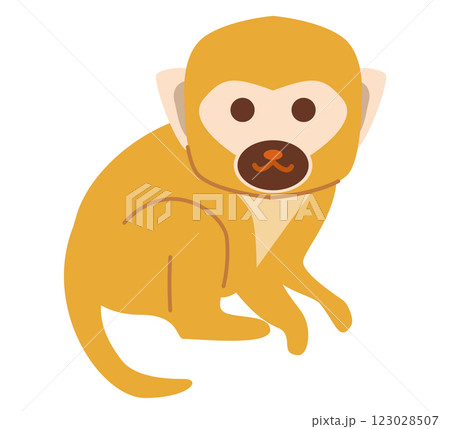 リスザル 123028507