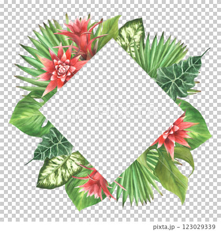 Tropical leaves and red flowers with buds square frame. Watercolor bromeliad, palm leaf, calathea, philodendron exotic creeper. Jungle floral card. Hand drawn illustration. Isolated from background. Tropical leaves and red flowers with buds square frame. Watercolor bromeliad, palm leaf, calathea, philodendron exotic creeper. Jungle floral card. Hand drawn illustration. Isolated from background. 123029339
