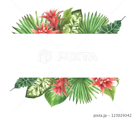 Tropical leaves and red flowers with buds banner. Watercolor bromeliad, palm leaf, calathea, philodendron exotic creeper. Jungle floral clipart. Hand drawn illustration. Isolated white background. Tropical leaves and red flowers with buds banner. Watercolor bromeliad, palm leaf, calathea, philodendron exotic creeper. Jungle floral clipart. Hand drawn illustration. Isolated white background. 123029342