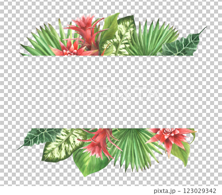 Tropical leaves and red flowers with buds banner. Watercolor bromeliad, palm leaf, calathea, philodendron exotic creeper. Jungle floral clipart. Hand drawn illustration. Isolated white background. Tropical leaves and red flowers with buds banner. Watercolor bromeliad, palm leaf, calathea, philodendron exotic creeper. Jungle floral clipart. Hand drawn illustration. Isolated white background. 123029342