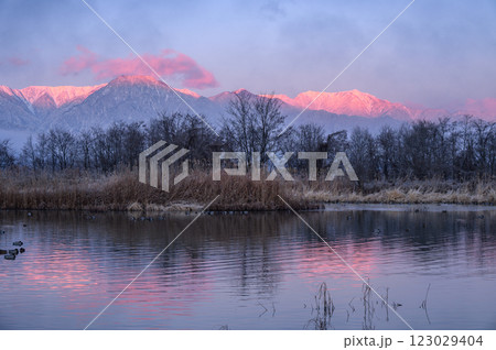 夜明けの静寂と北アルプスのモルゲンロート【御宝田遊水池】 123029404