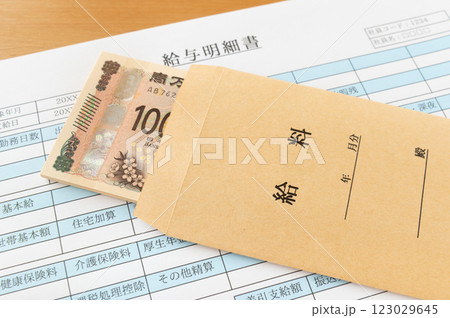 給与明細書と給料袋　サラリー 123029645