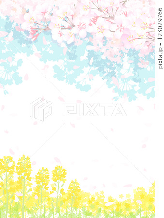 桜と春の空　菜の花畑 123029766