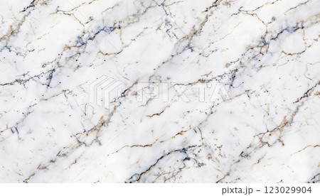 The Elegant White Marble featuring beautiful Gold Veins is perfect for creating Luxurious Interiors 123029904
