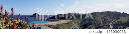 爪木崎:アロエの花を前景にした海岸のパノラマ風景【富士箱根伊豆国立公園】静岡県下田市 爪木崎:アロエの花を前景にした海岸のパノラマ風景【富士箱根伊豆国立公園】静岡県下田市 123030088