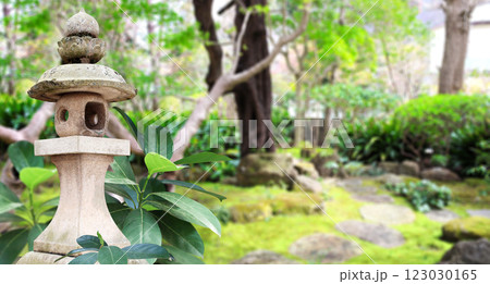 Old stone lantern at Kasuga Grand Shrine, Nara Japan. Picturesque landscape with ancient japanese lantern in Kasuga-Taisha Shrine. Topic of vacation, travel, trip abroad on vacation, cruises and tours 123030165