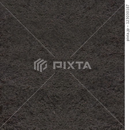 Fertile soil texture seen from above. Top view of ground surface as background. Agriculture, gardening or planting backdrop. Copy space for text. Natural dirt pattern 123030187