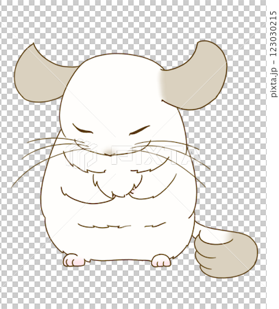 Chinchilla (pied) sleeping standing up 123030215